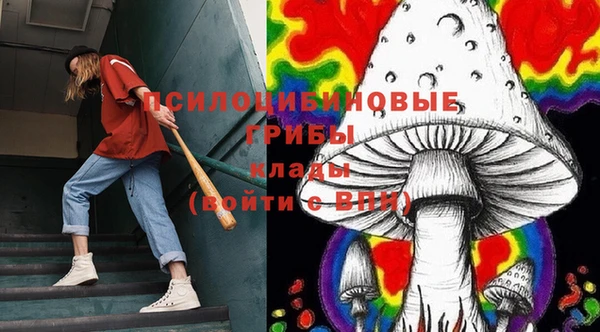 ПСИЛОЦИБИНОВЫЕ ГРИБЫ Абинск
