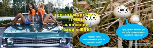 спиды Абаза